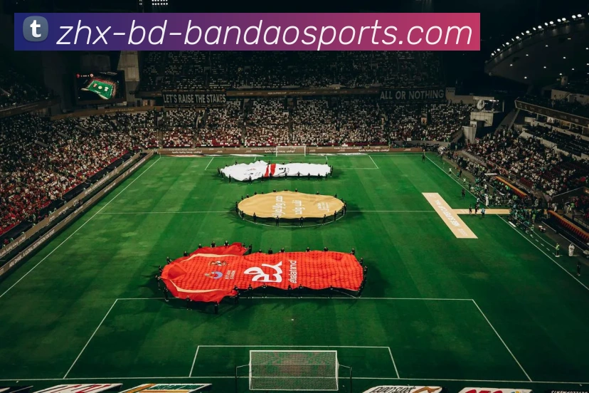 多媒体互动体验